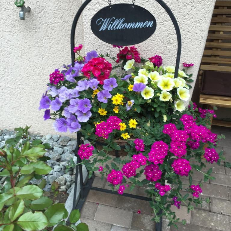 Zahrada ubytování Hotel B&B Casa La Val