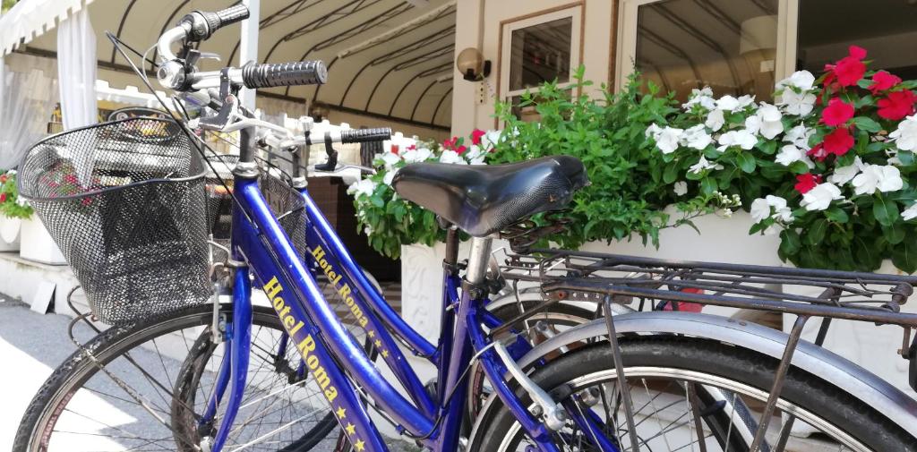 Jízda na kole v ubytování Hotel Roma nebo okolí