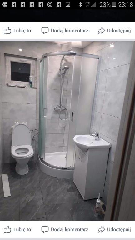 Kúpeľňa v ubytovaní Hacjenda Leśny Zaułek