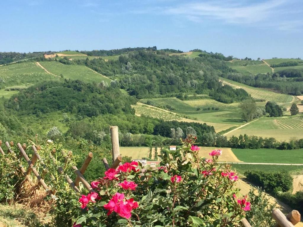 vistas a las colinas y flores en Large secluded villa, fabulous countryside views, beautiful Piedmonte landscape, en Castelnuovo Belbo