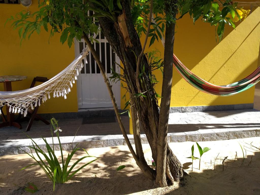  Suíte Ipê Amarelo