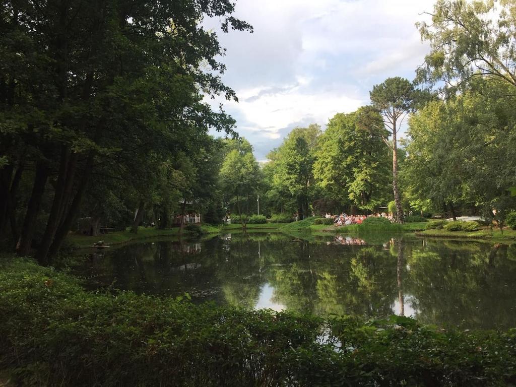 Príroda v okolí apartmánu
