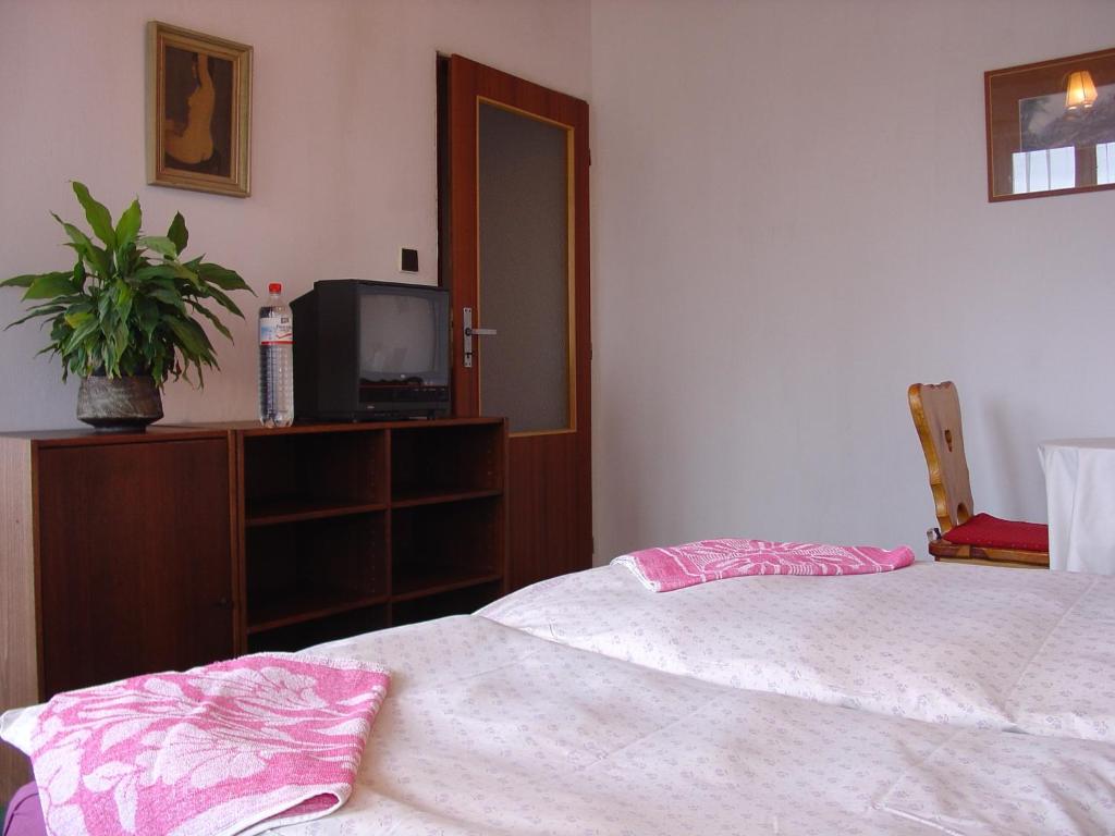 Televisyen dan/atau pusat hiburan di Lovecký hotel Jívák