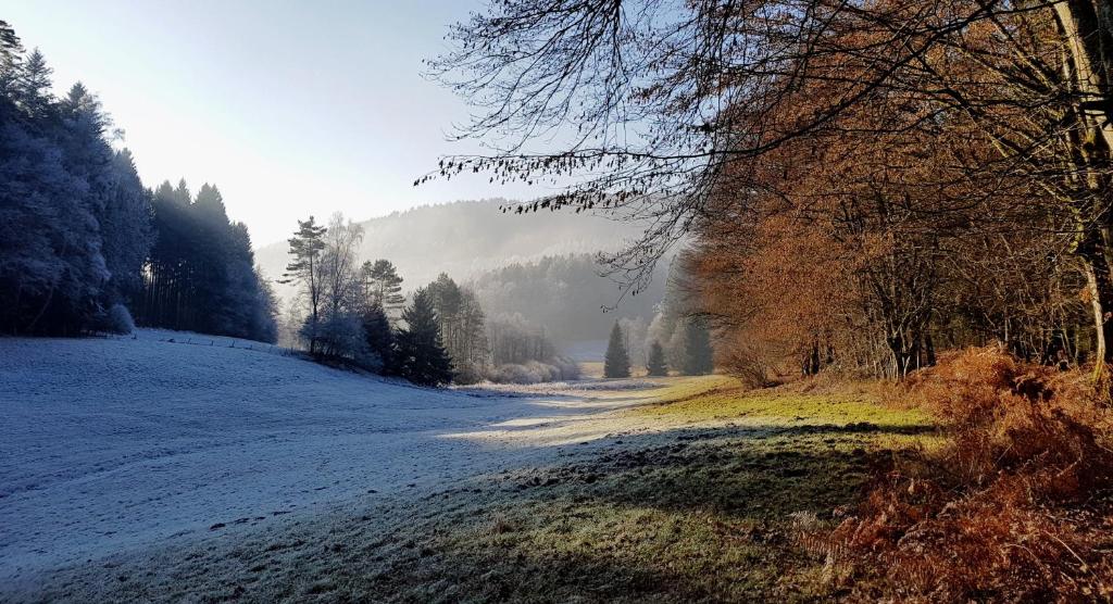 Gallery image of Urlaubs(t)raum in Heiligkreuzsteinach