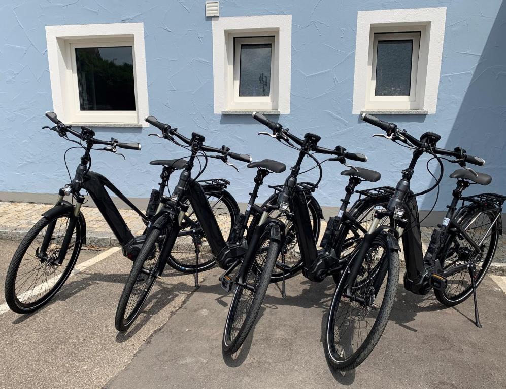 Jízda na kole v ubytování ApartHotel Rose nebo okolí