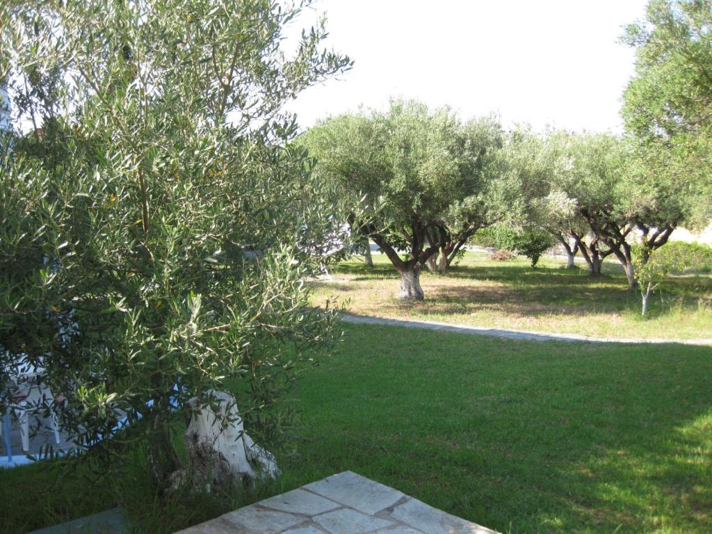 Zahrada ubytování Europa Apartments Stefanos