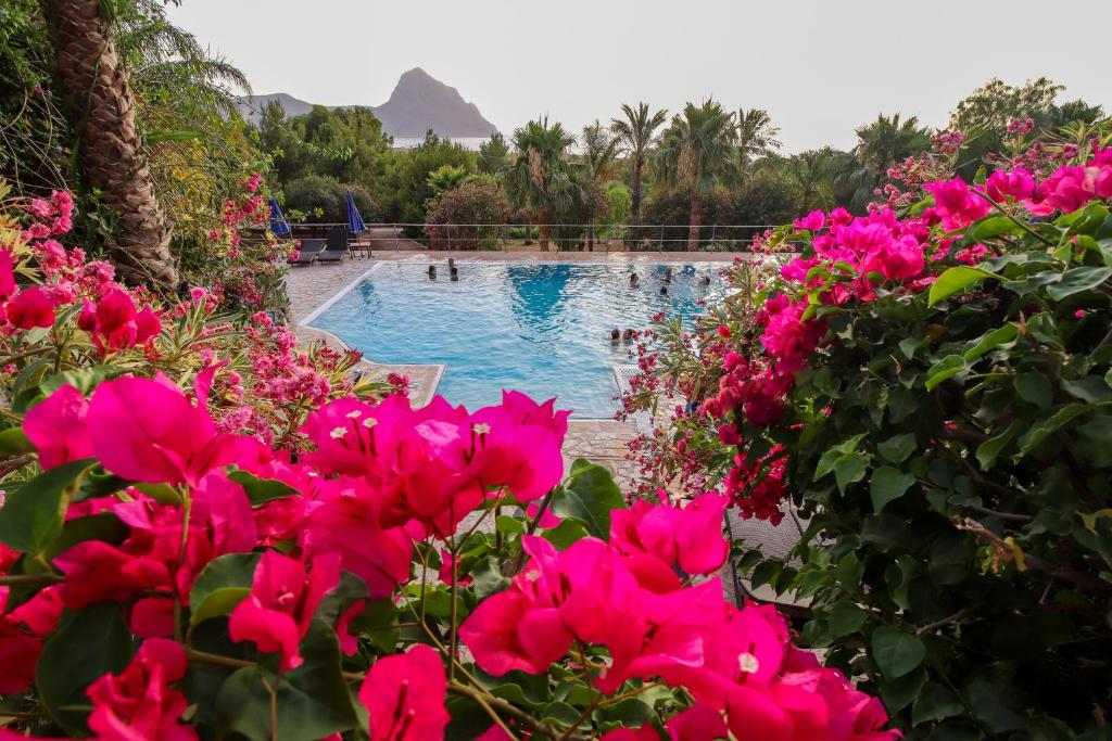a pool with pink flowers and a mountain in the background at Cala Dell'Arena in Macari