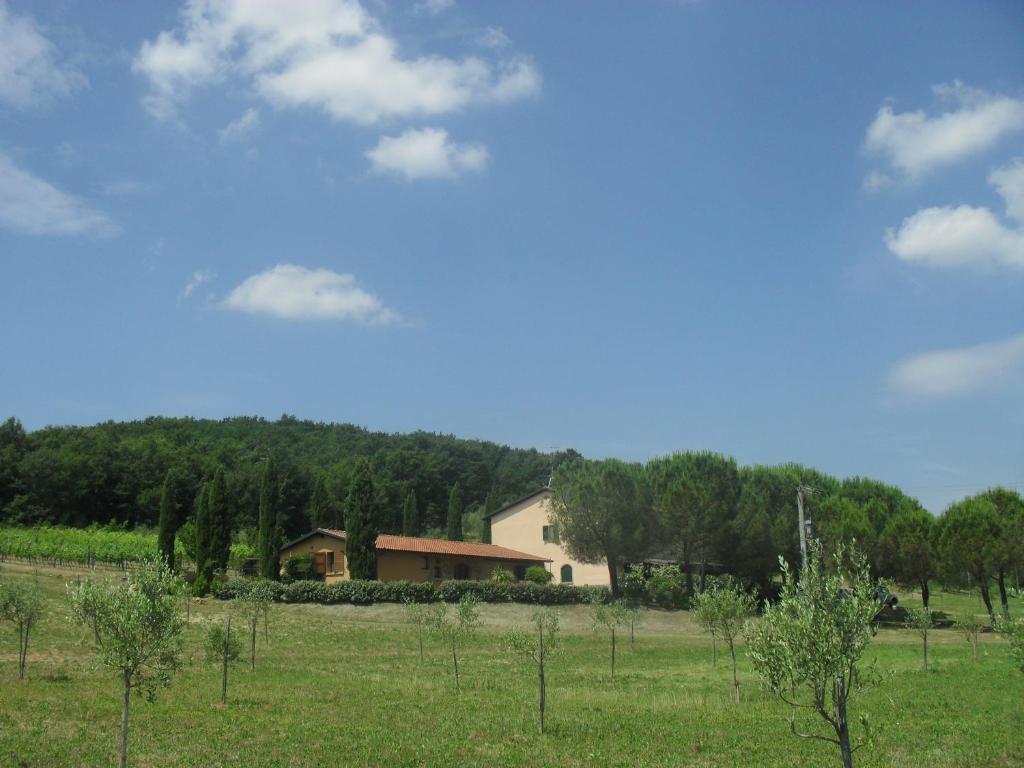 Príroda v okolí farmy