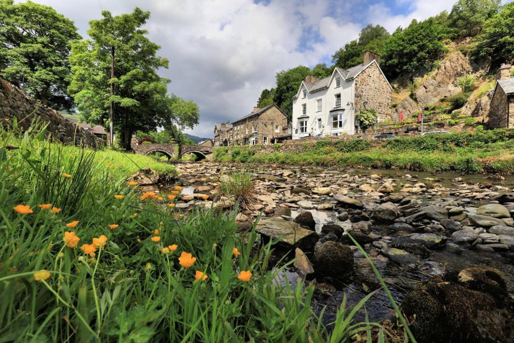 a river with a house in the background and flowers at Plas Tan y Graig B&B Guest House Beddgelert in Beddgelert
