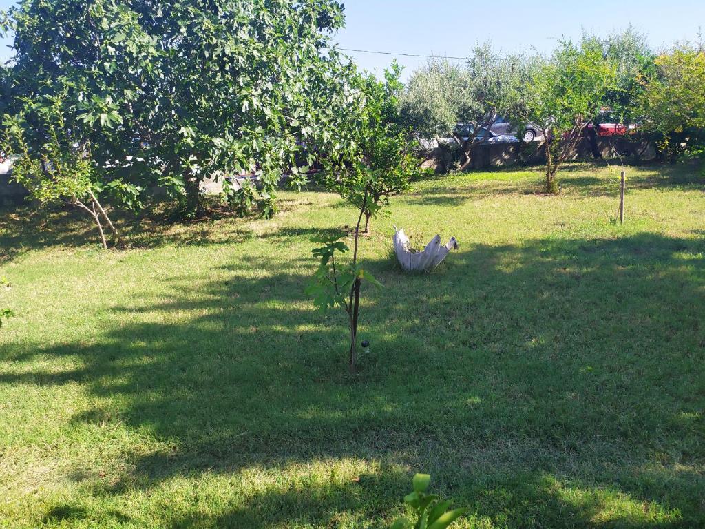 Vonkajšia záhrada v ubytovaní Apartmant Sučić