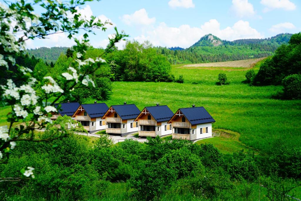 eine Luftansicht eines Hauses auf einem grünen Feld in der Unterkunft Rekreačna usadlosť Pieninka in Lesnica