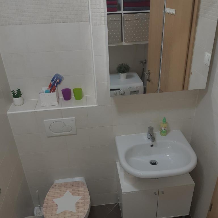 Kúpeľňa v ubytovaní Apartment with garage Lavici