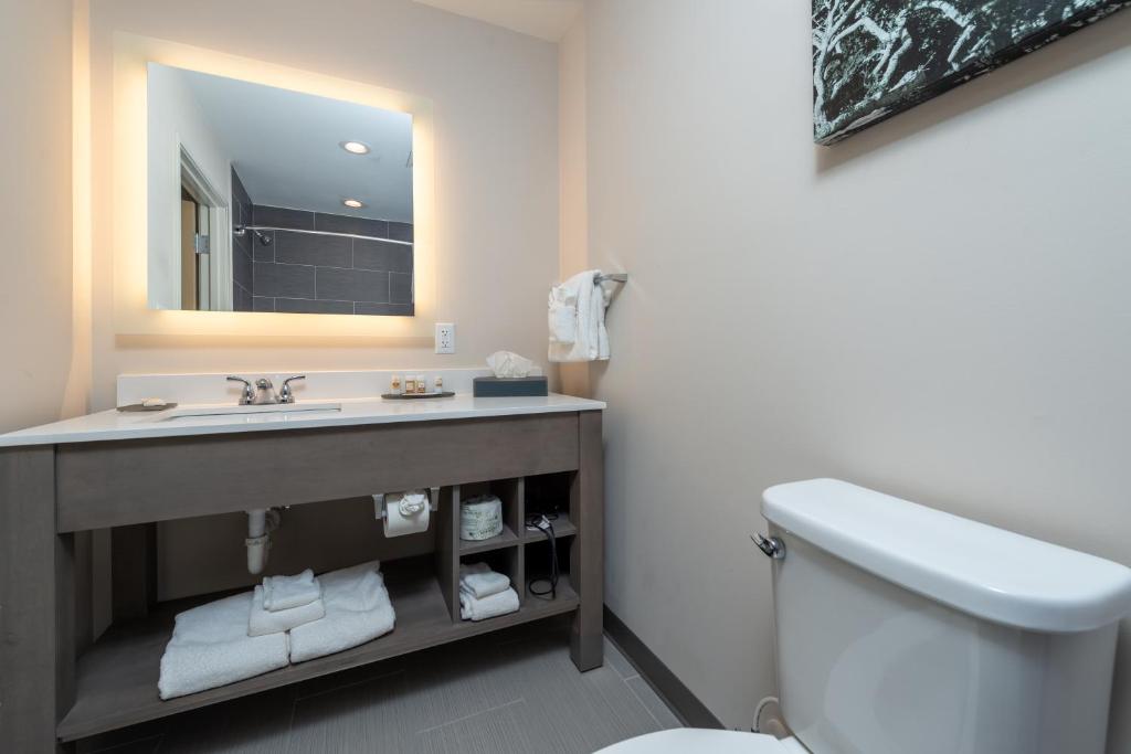 voco St Augustine Historic Area, an IHG Hotel - Queen Room Mit Hörbarem Rollen In Der Dusche