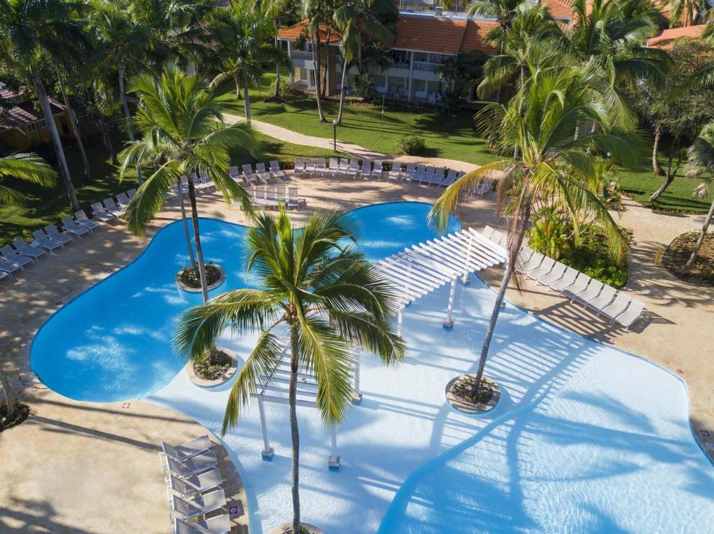 an overhead view of a pool with palm trees and chairs at bungalow 3116 vue sur piscine in Las Galeras