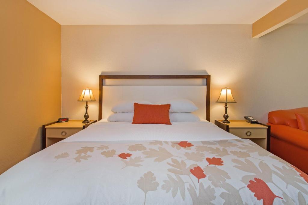 Hawthorn Suites by Wyndham Allentown-Fogelsville - King Room - Non-Smoking