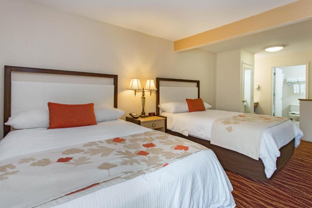 Hawthorn Suites by Wyndham Allentown-Fogelsville - Queen Room With Two Queen Beds - Non-Smoking