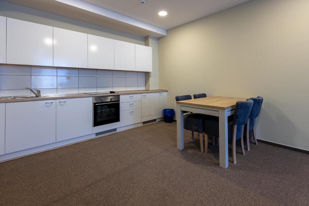 Kuchyň nebo kuchyňský kout v ubytování Hotel IUT