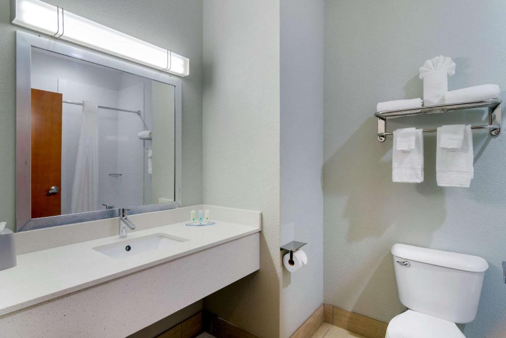 Quality Inn & Suites Decatur - Atlanta East - Kamer Met Kingsize Bed - Niet-Rokers