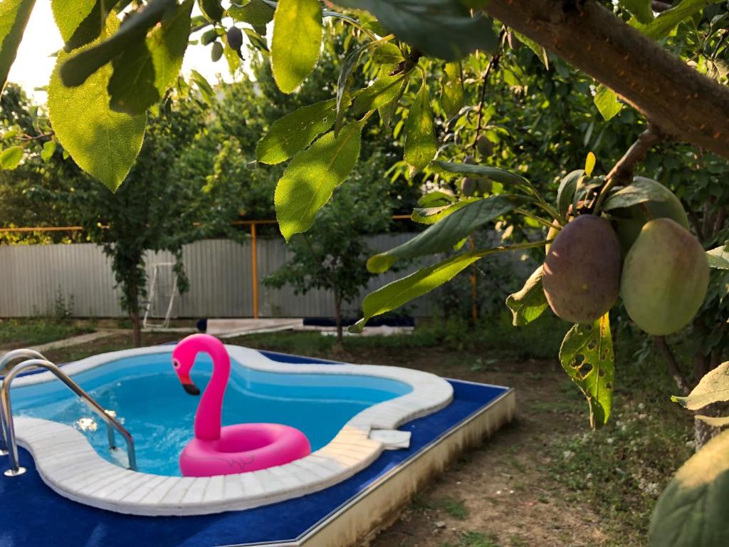 Квартиры на Уютной - отзывы и видео