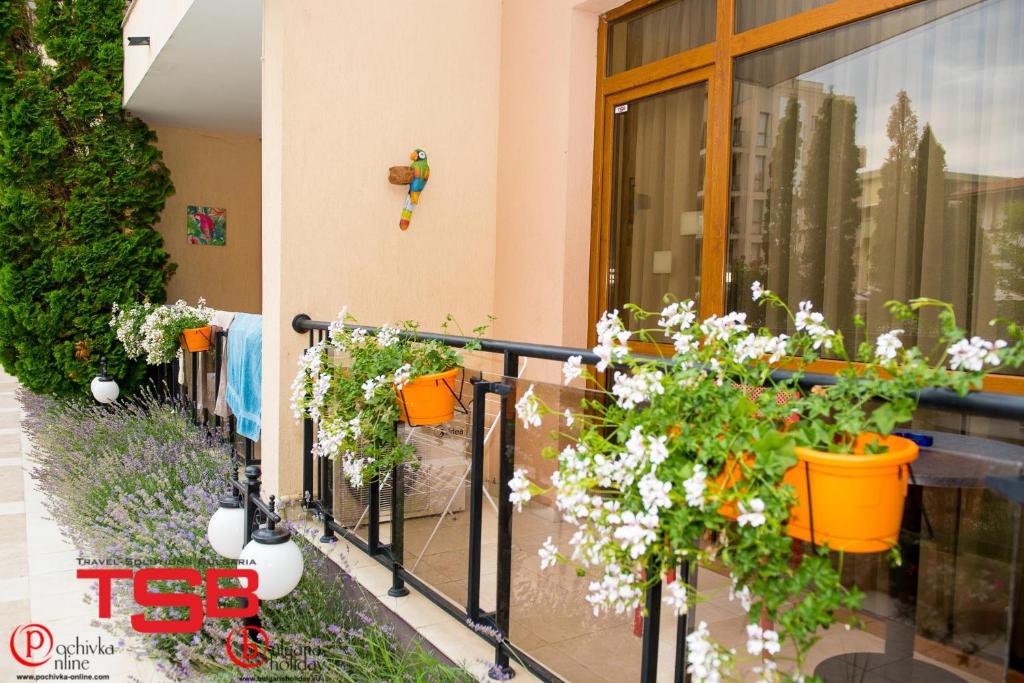 TSB Sunny Victory - Studio Con Balcone (4 Adulti) - Offerta Speciale