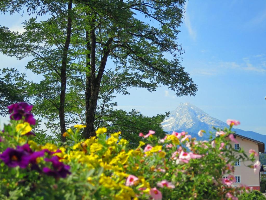 un campo de flores con una montaña en el fondo en Ferienwohnung da Salvatore, en Berchtesgaden