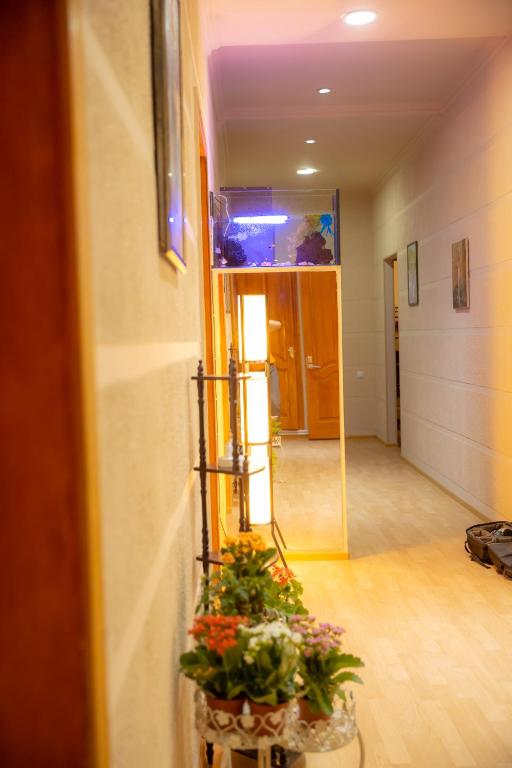 Fotografie z fotogalerie ubytování Wine Hostel v destinaci Tbilisi City