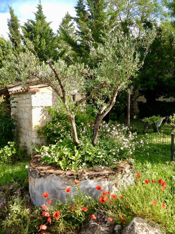 Zahrada ubytování Villa Mas
