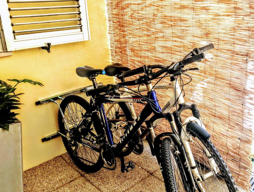 Passadiços da Ria - 3