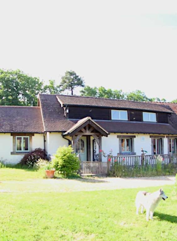 un mouton debout dans l'herbe devant une maison dans l'établissement Domaine des grandes landes, à Saint-Paul-la-Roche