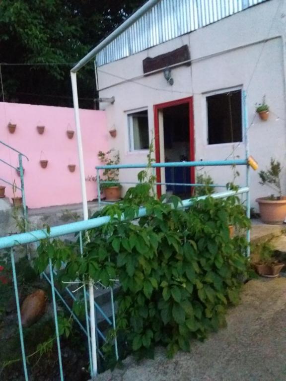 Zahrada ubytování Sweet Home