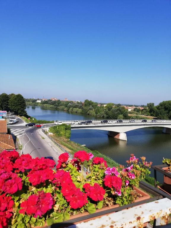 View of a river running close to a vendégházakat