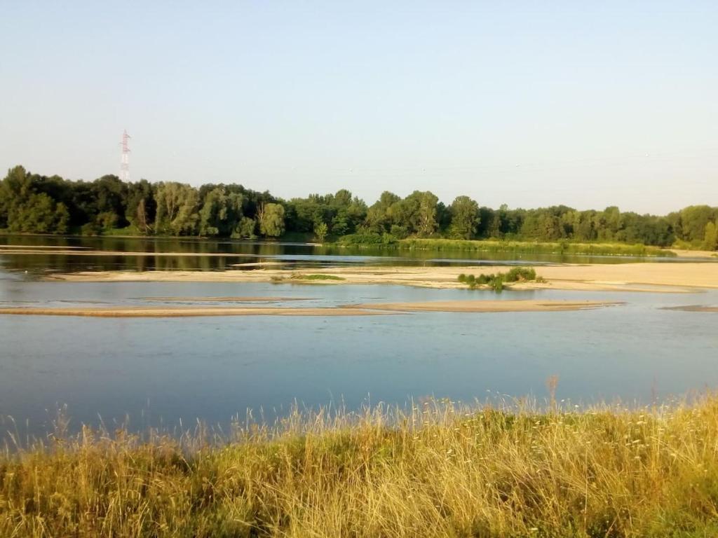 una gran masa de agua con árboles en el fondo en Pour visiter ou travailler dans le LOIRET, en Saint-Jean-de-Braye