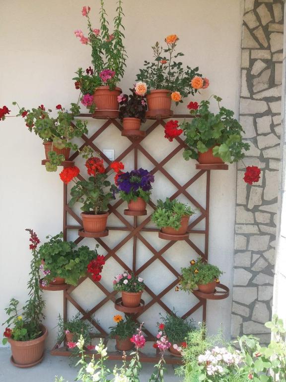 a bunch of flowers in pots on a wall at Apartments Beka in Žabljak