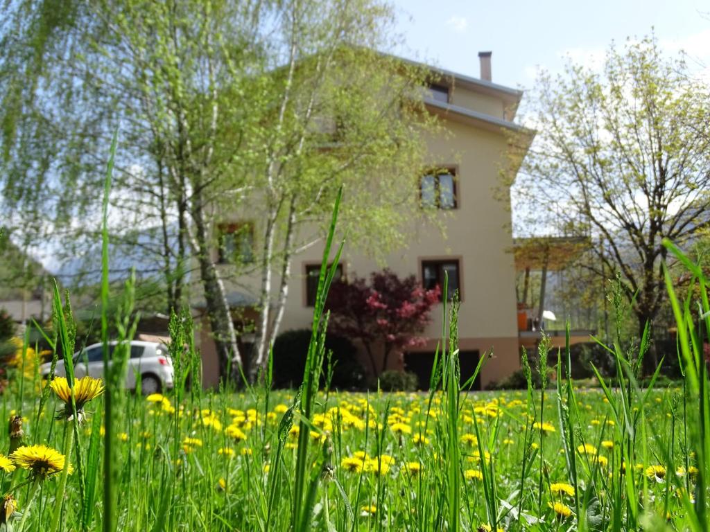 a field of yellow flowers in front of a house at La casa di Clara in Esine