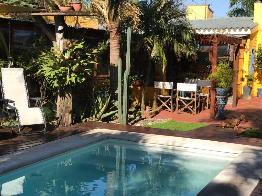 Bazén v ubytování El Bambu nebo v jeho okolí