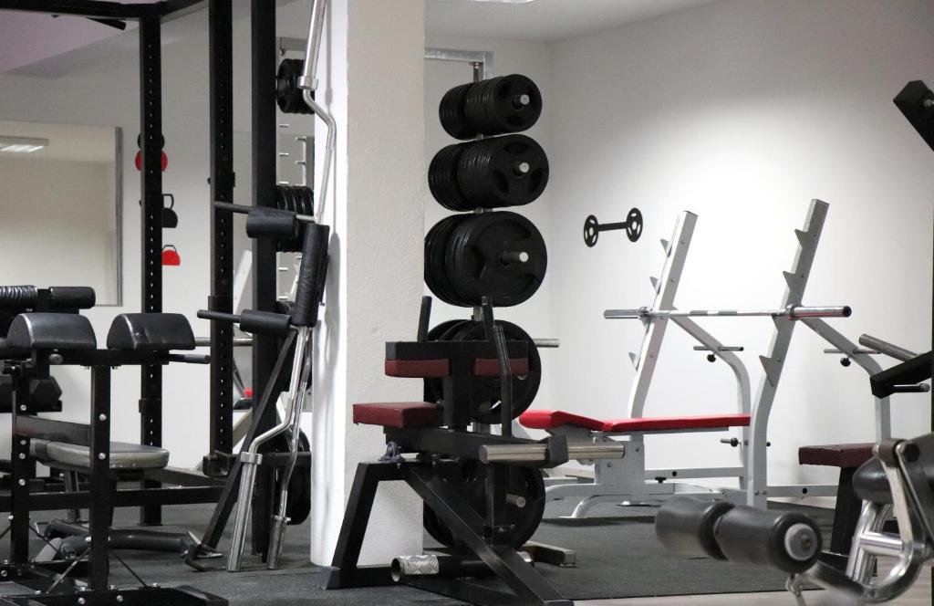 Posilňovňa alebo fitness centrum v ubytovaní Guesthouse Milijana