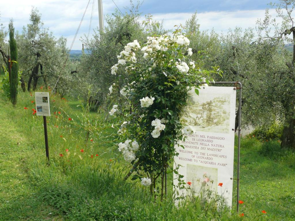 Zahrada ubytování Antica Bottega di Vinci