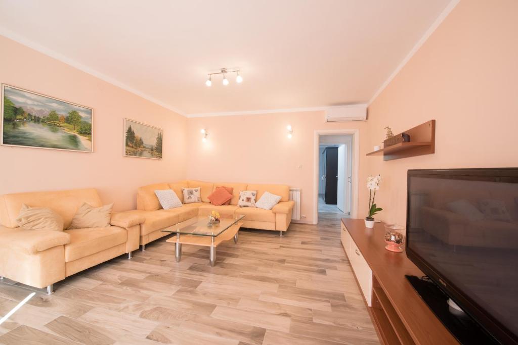 TV a/nebo společenská místnost v ubytování Apartman Vita