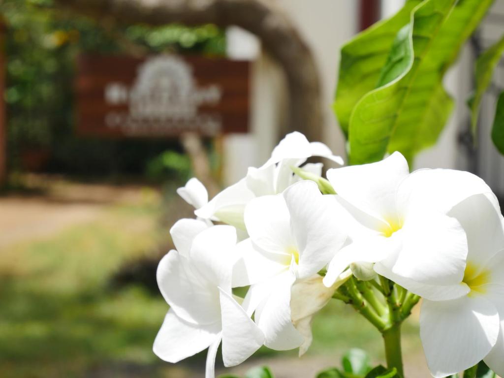 Zahrada ubytování Hideaway Lodge