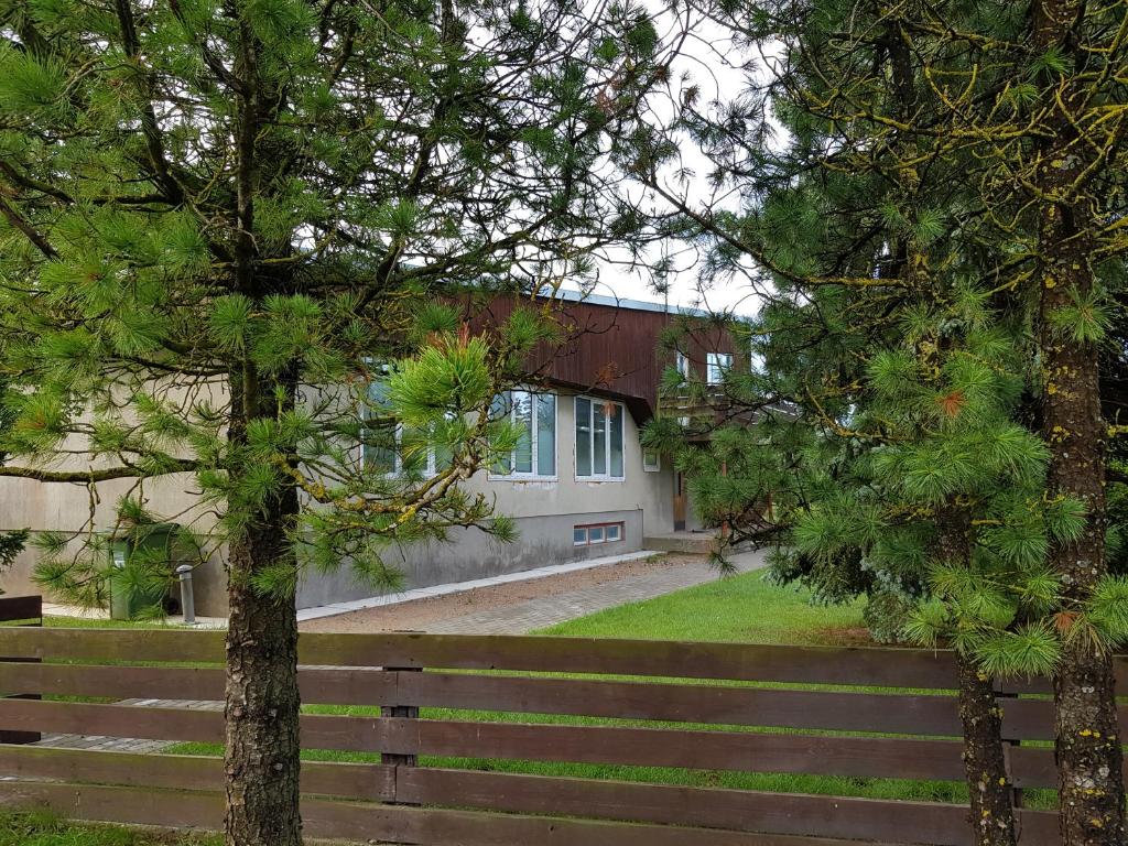 a building with a tree in front of a fence at Viirpuu puhkemaja in Kuressaare