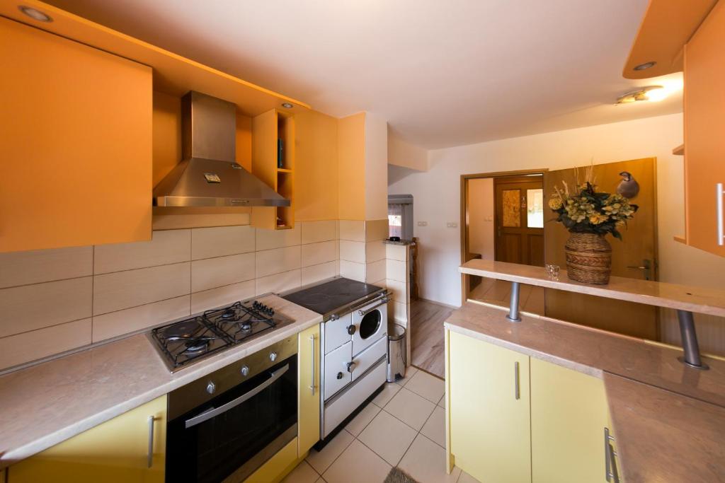 Kuchyňa alebo kuchynka v ubytovaní Apartmani Ruza