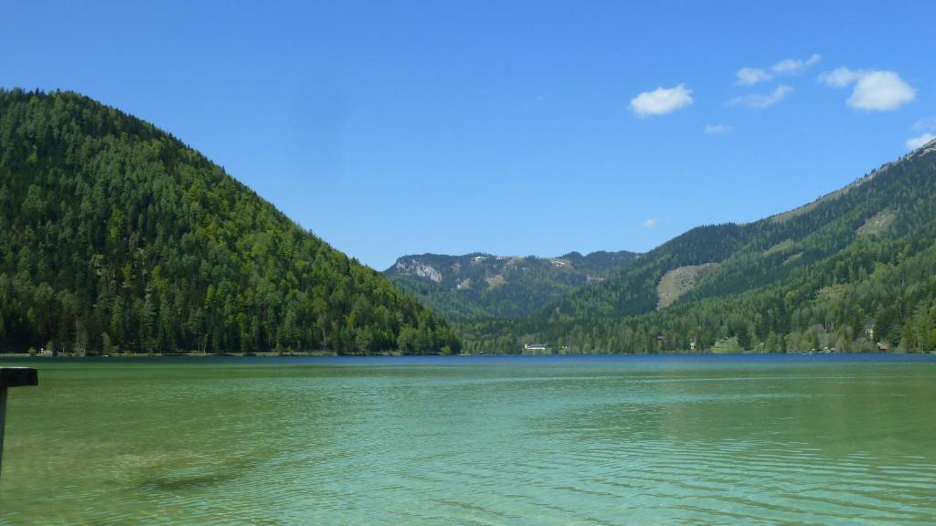 Příroda nedaleko apartmánu