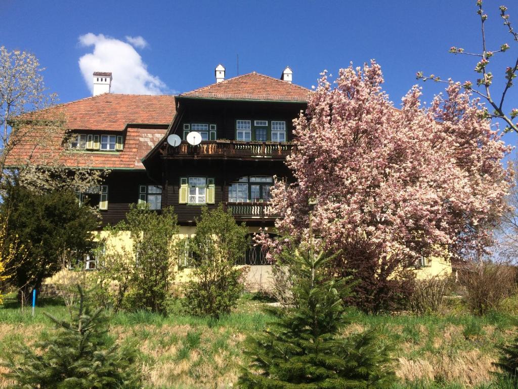 an old house with a tree in front of it at Zeilinger Villa in Knittelfeld