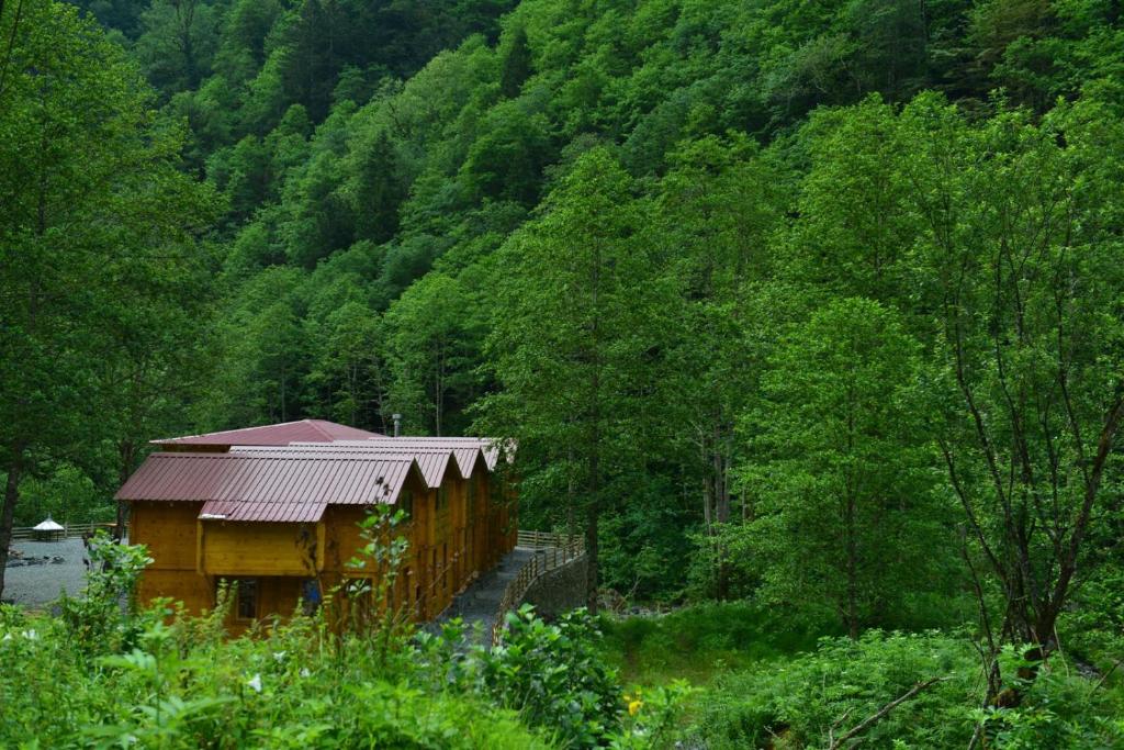 a wooden cabin in the middle of a forest at Sumda Konaklar in Çamlıhemşin