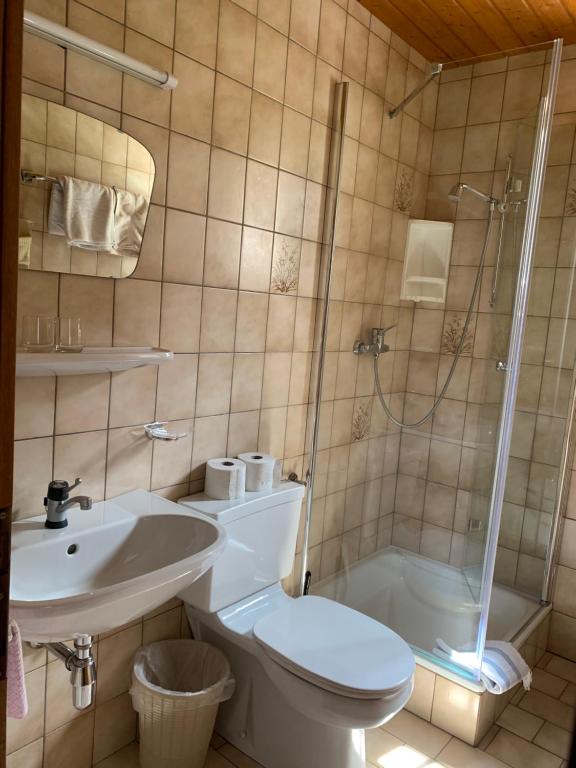 Kúpeľňa v ubytovaní Landhaus Ahrn