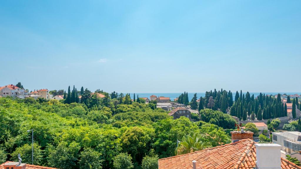 Příroda nedaleko apartmánu