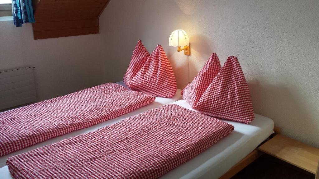 Postel nebo postele na pokoji v ubytování Berggasthaus Tannalp