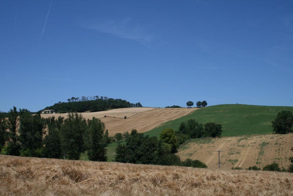 Dunes – Photos 4