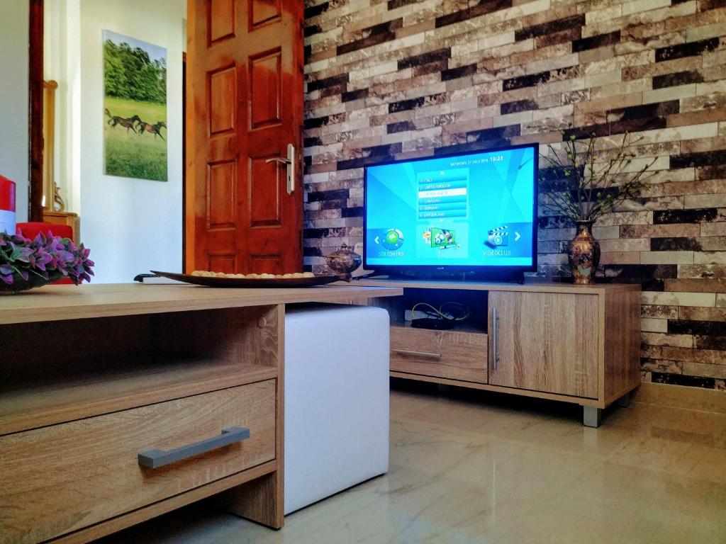 TV a/nebo společenská místnost v ubytování Villa Elion