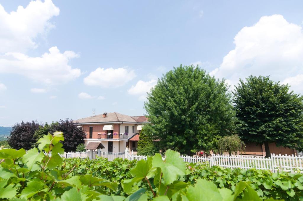 a house in a vineyard with a white fence and trees at B&B da Laura e Aldo in Neive